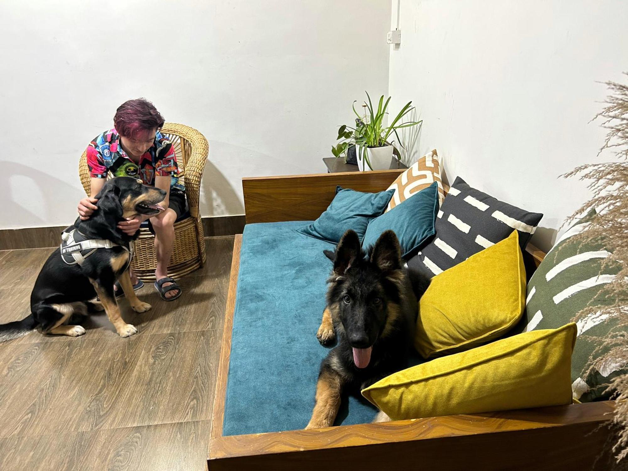 House Of Nomad Hostel Gangtok Εξωτερικό φωτογραφία