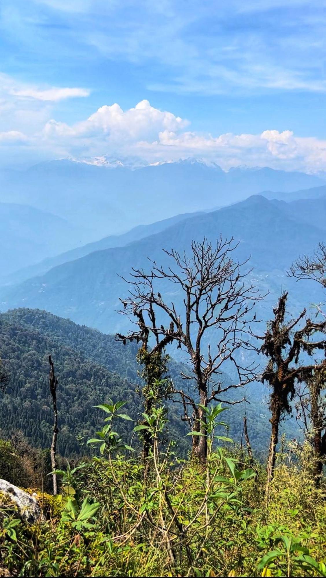 House Of Nomad Hostel Gangtok Εξωτερικό φωτογραφία