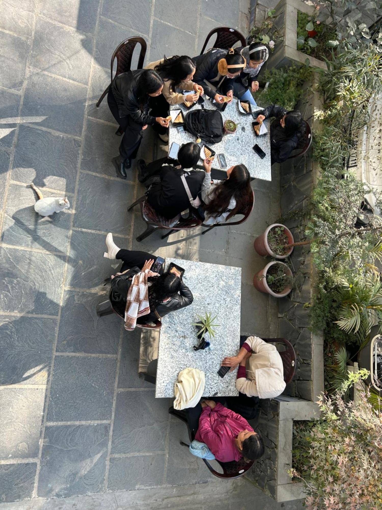House Of Nomad Hostel Gangtok Εξωτερικό φωτογραφία